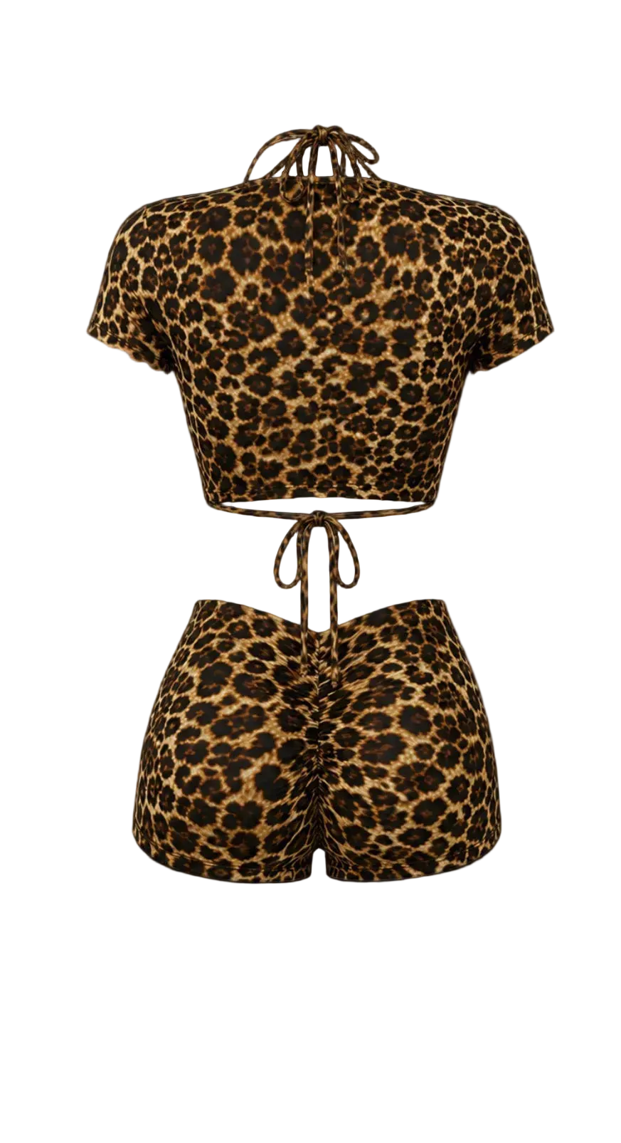 The Untamed Set