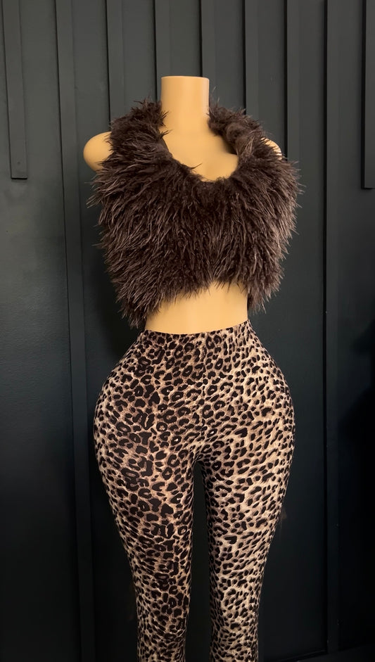 RWARXD Set