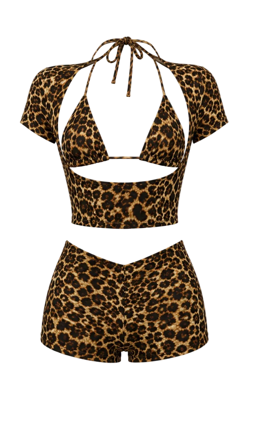 The Untamed Set